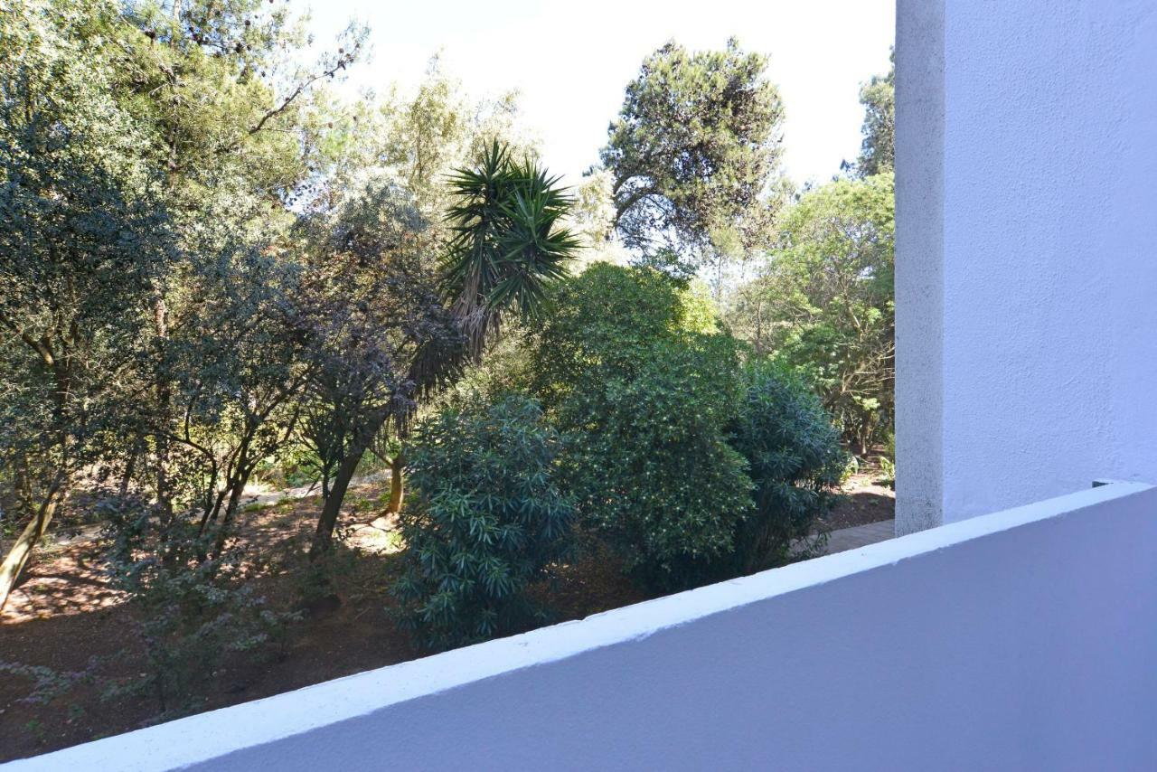 Tropical View Cascais - Checkinhome Exteriér fotografie